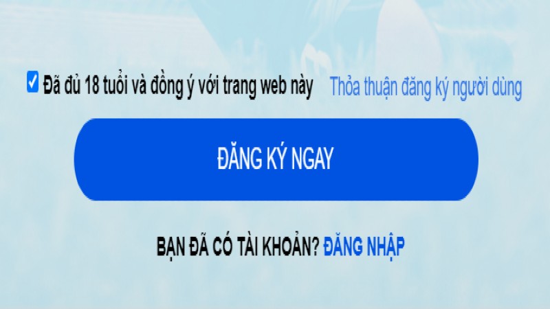 Chấp nhận sử dụng dịch vụ